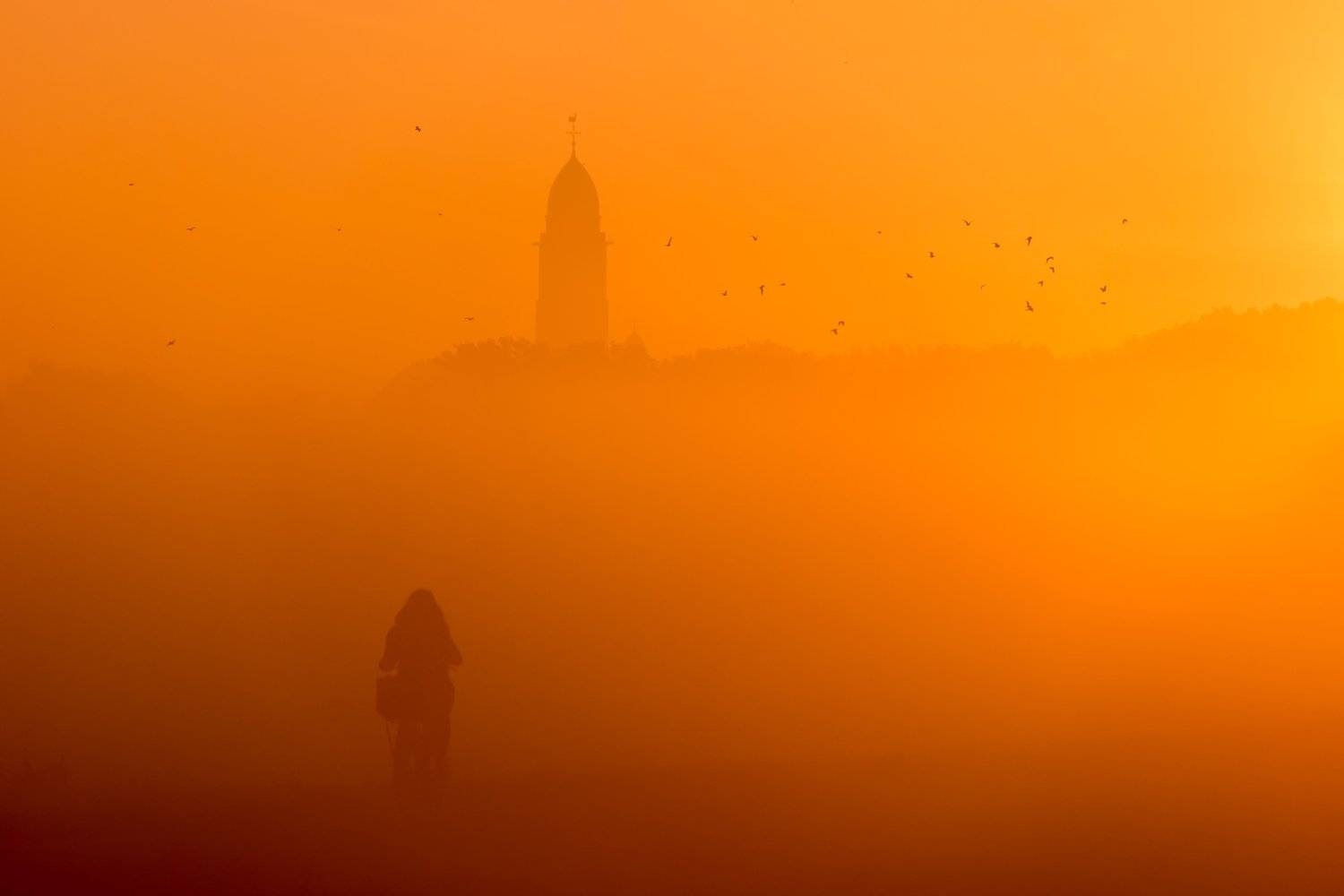 #landscape #yellow #fog, Esmeralda Holman