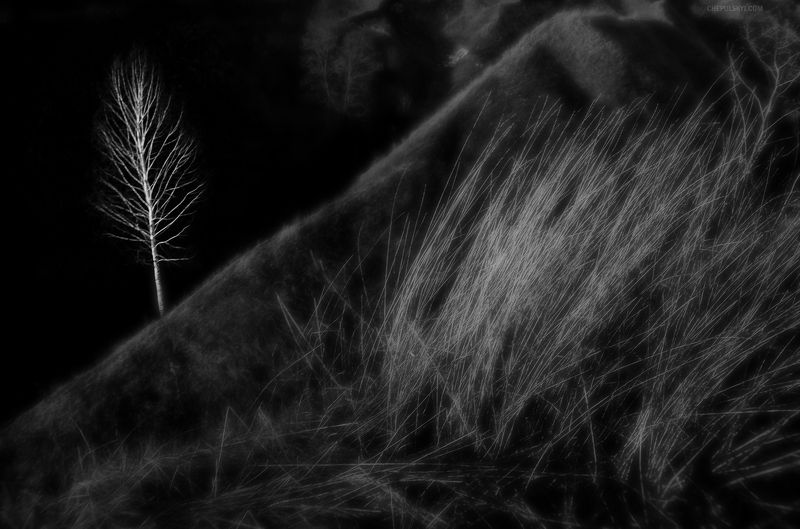 nature, bw, landscape The guard фото превью