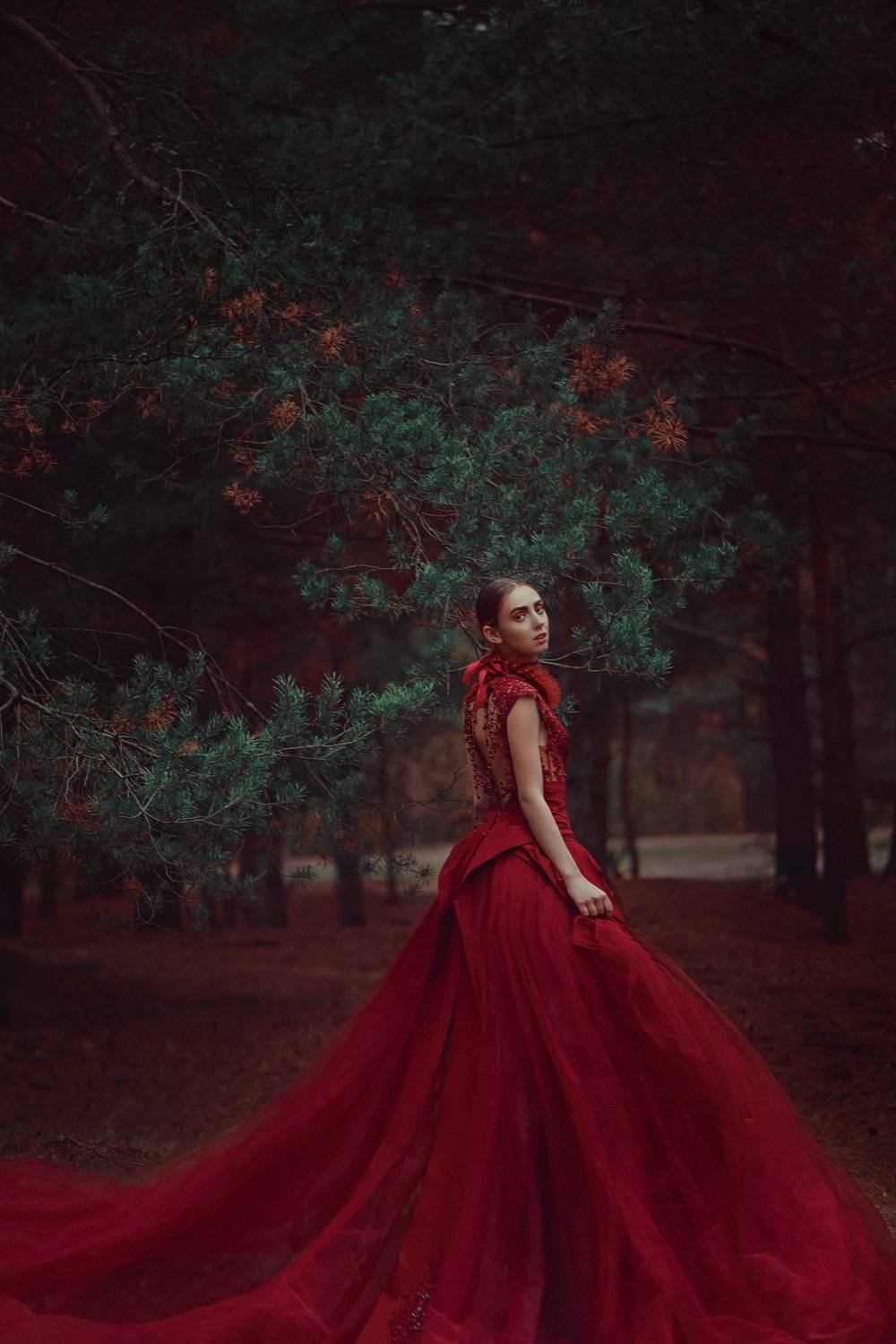 , Анастасия Добровольская