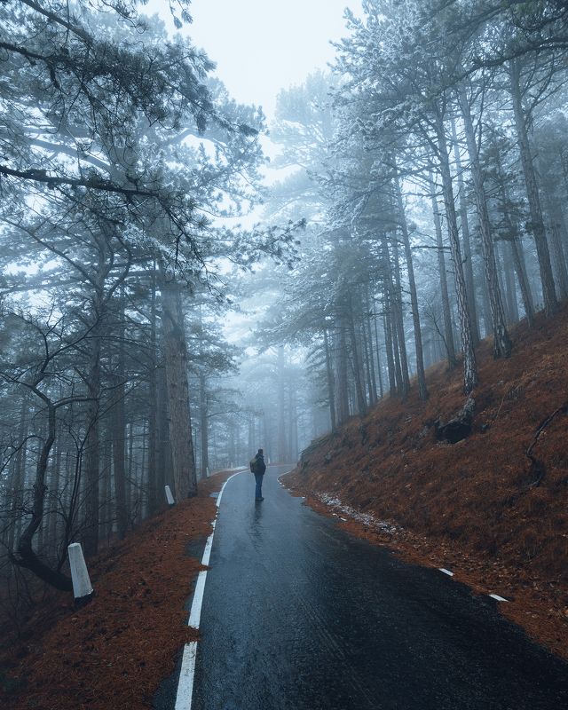 крым, ялта, никитская яйла, ай-петри, уч-кош, романовское шоссе Романовское шоссе фото превью