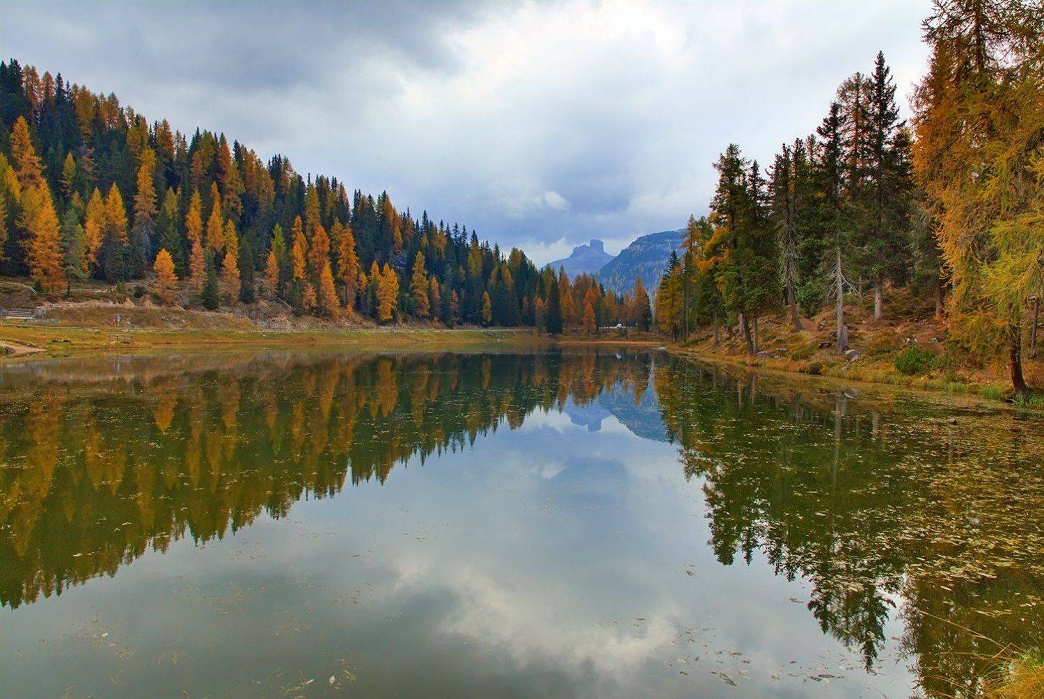 , Игорь Дубровский