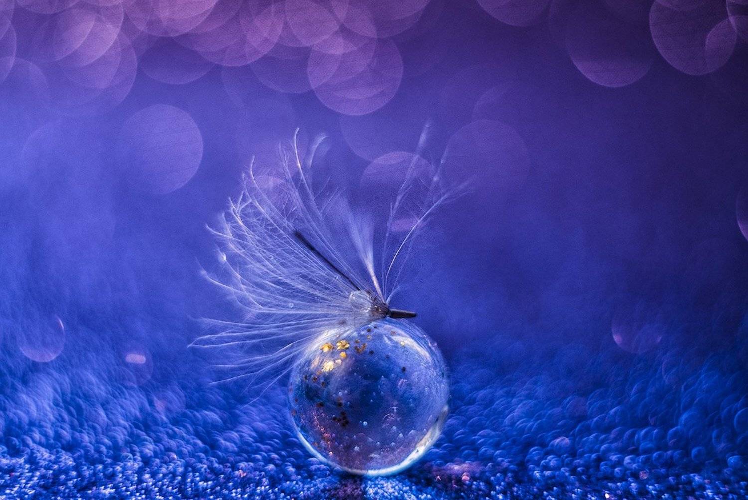 макро, макрофотография, макросъёмка, капли, цвета, градиент, боке, Ксения Орлова