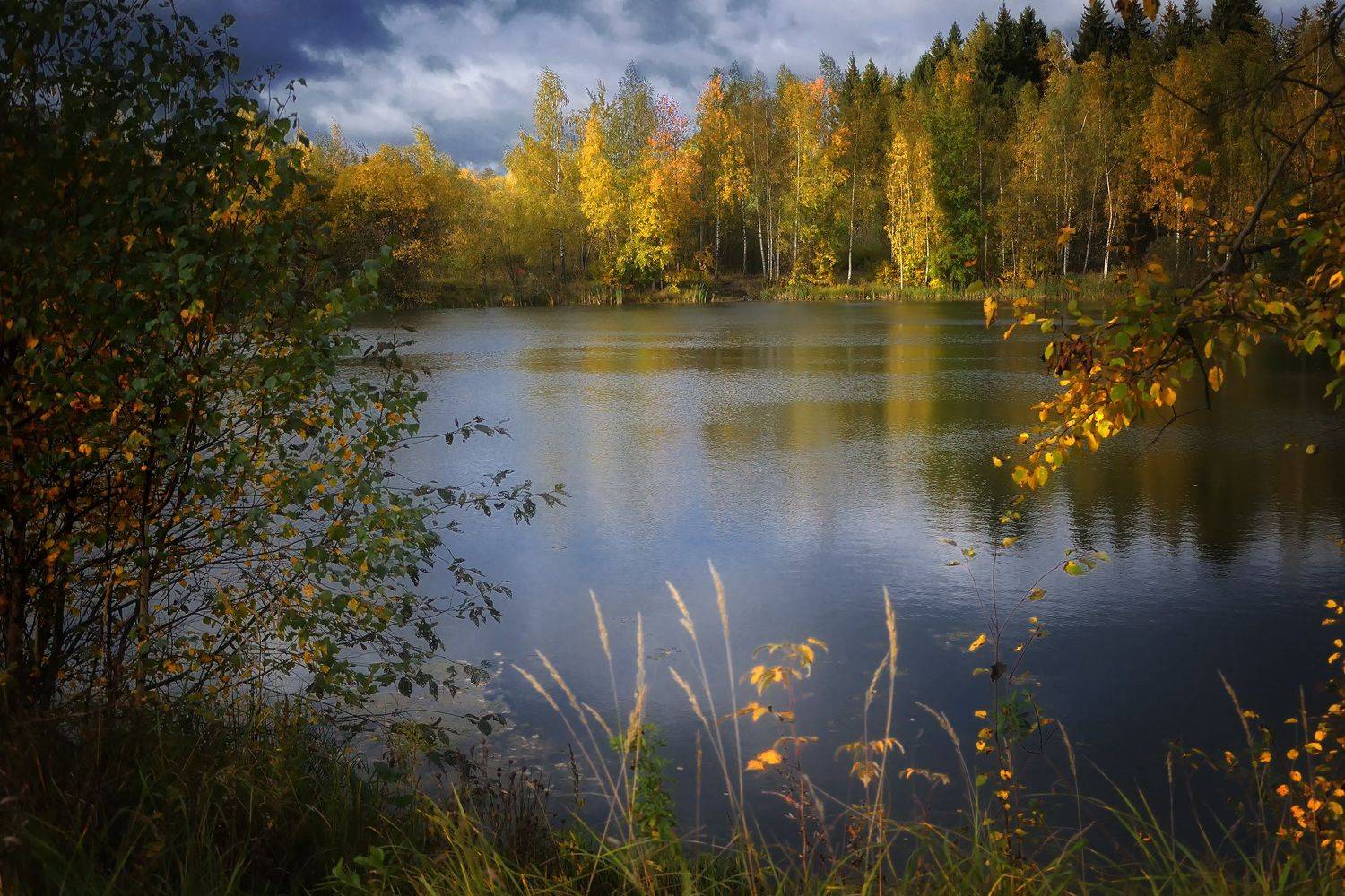 лес, природа, пейзаж, осень, река, вода, ручей, подмосковье, Алексей Никонов