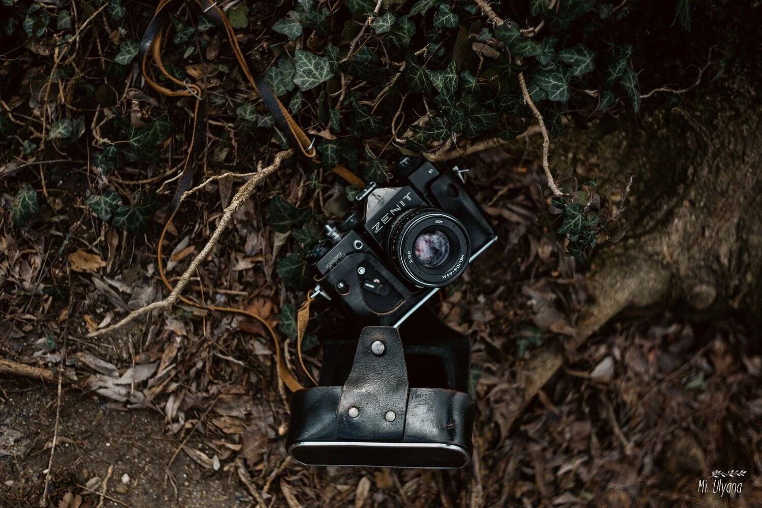 , Ульяна Буканова (Мизинова)