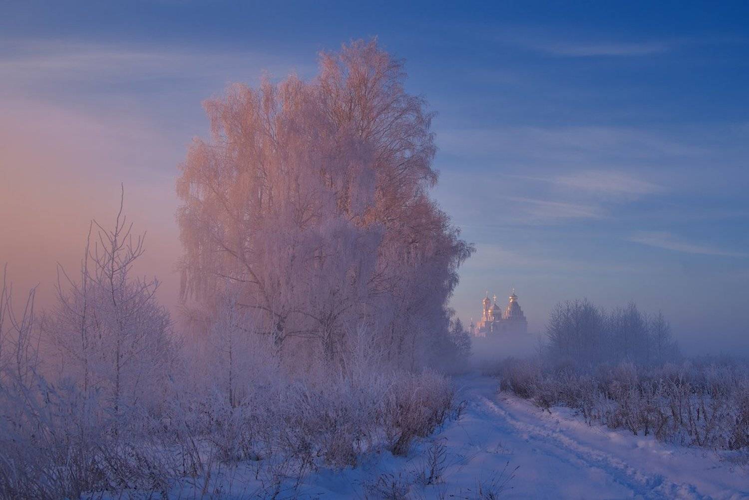 , Романский Владимир (NikonZoom)