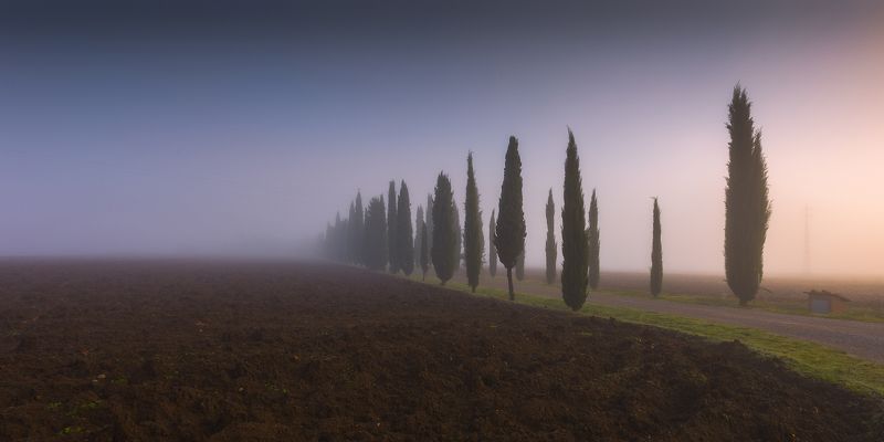 Уходящие в туман фото превью