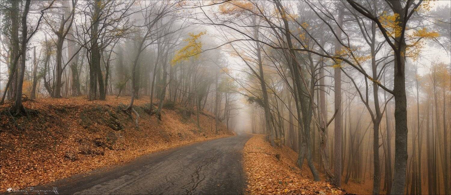 крым, ай петри, дорога, туман, осень, Алексей Богорянов
