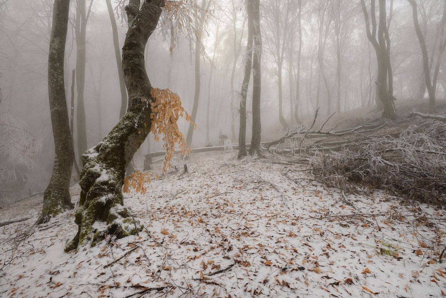 , Шевченко Юрий