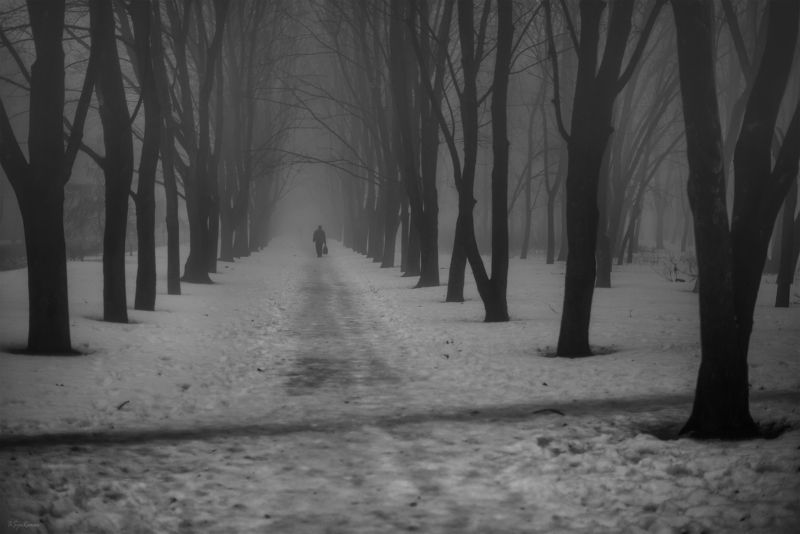 зима, февраль, парк, аллея Февраль уходит ... фото превью