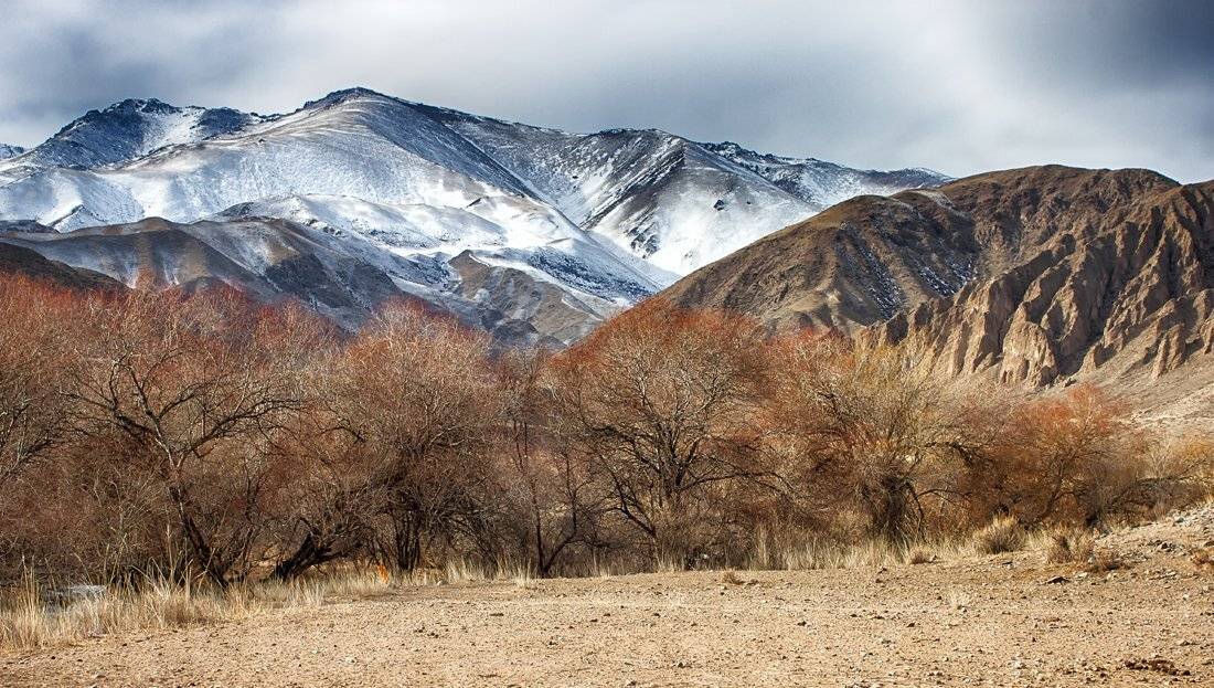 кыргызстан, горы, Элина Магалимова