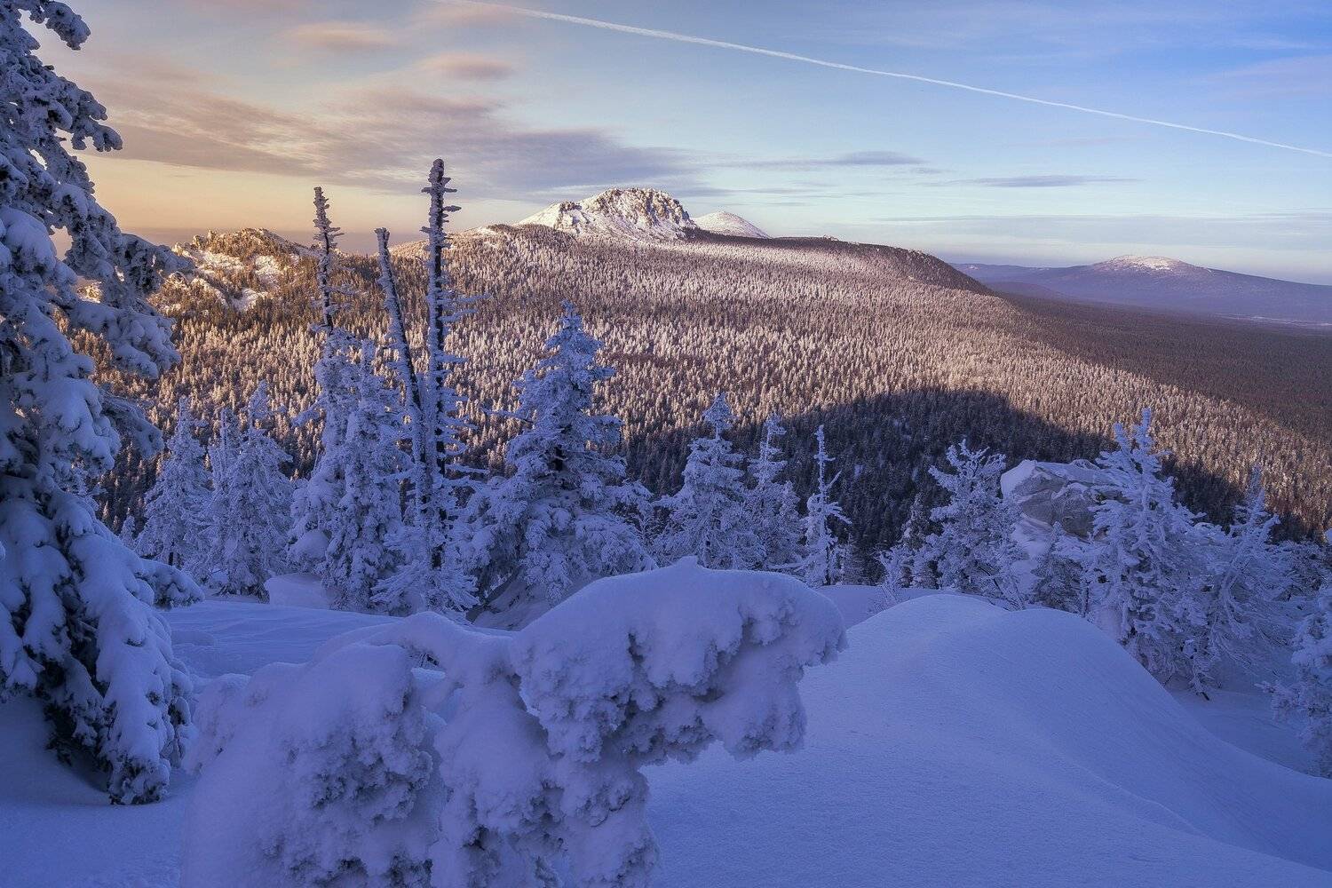 , Андрей Шарапов