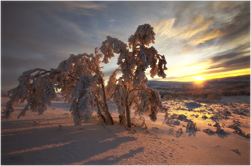 *** фото превью