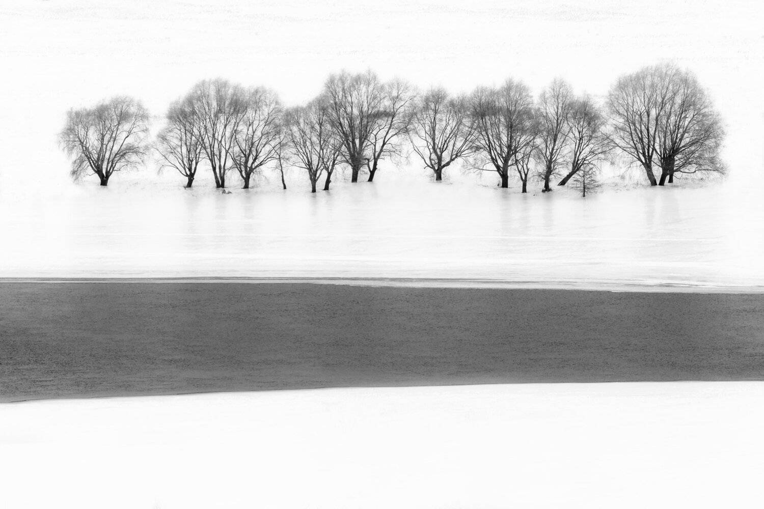 константиново, рязань, природа, пейзаж, черно белое, Мартыненко Дмитрий