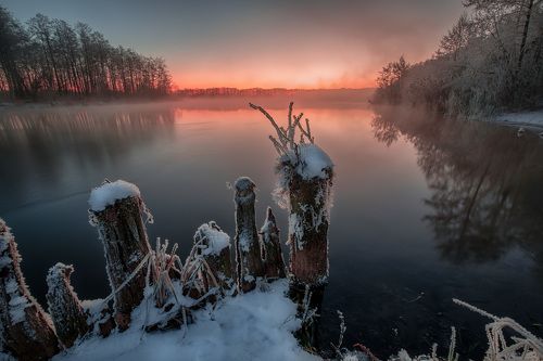Волосы дыбом )