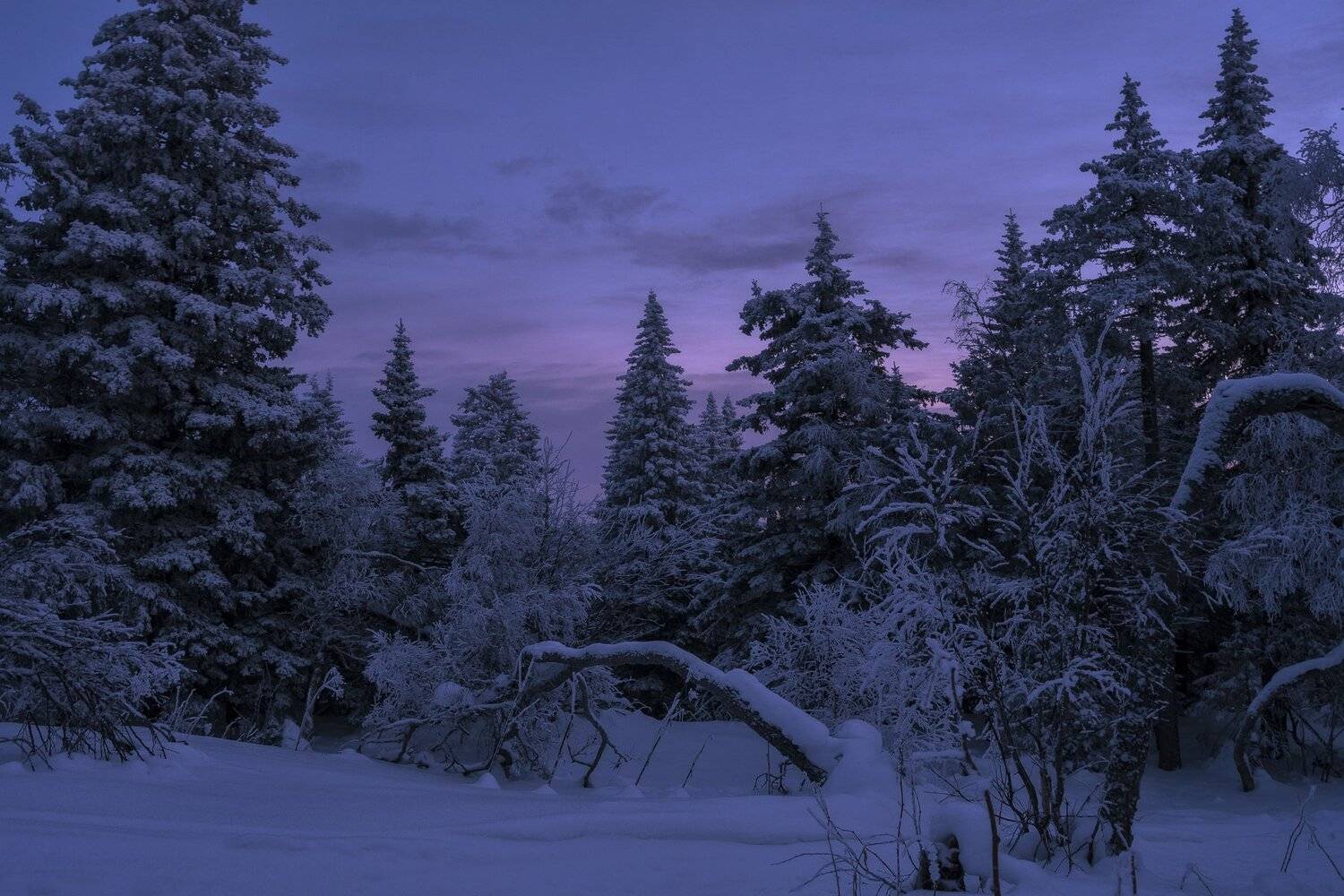 , Андрей Шарапов