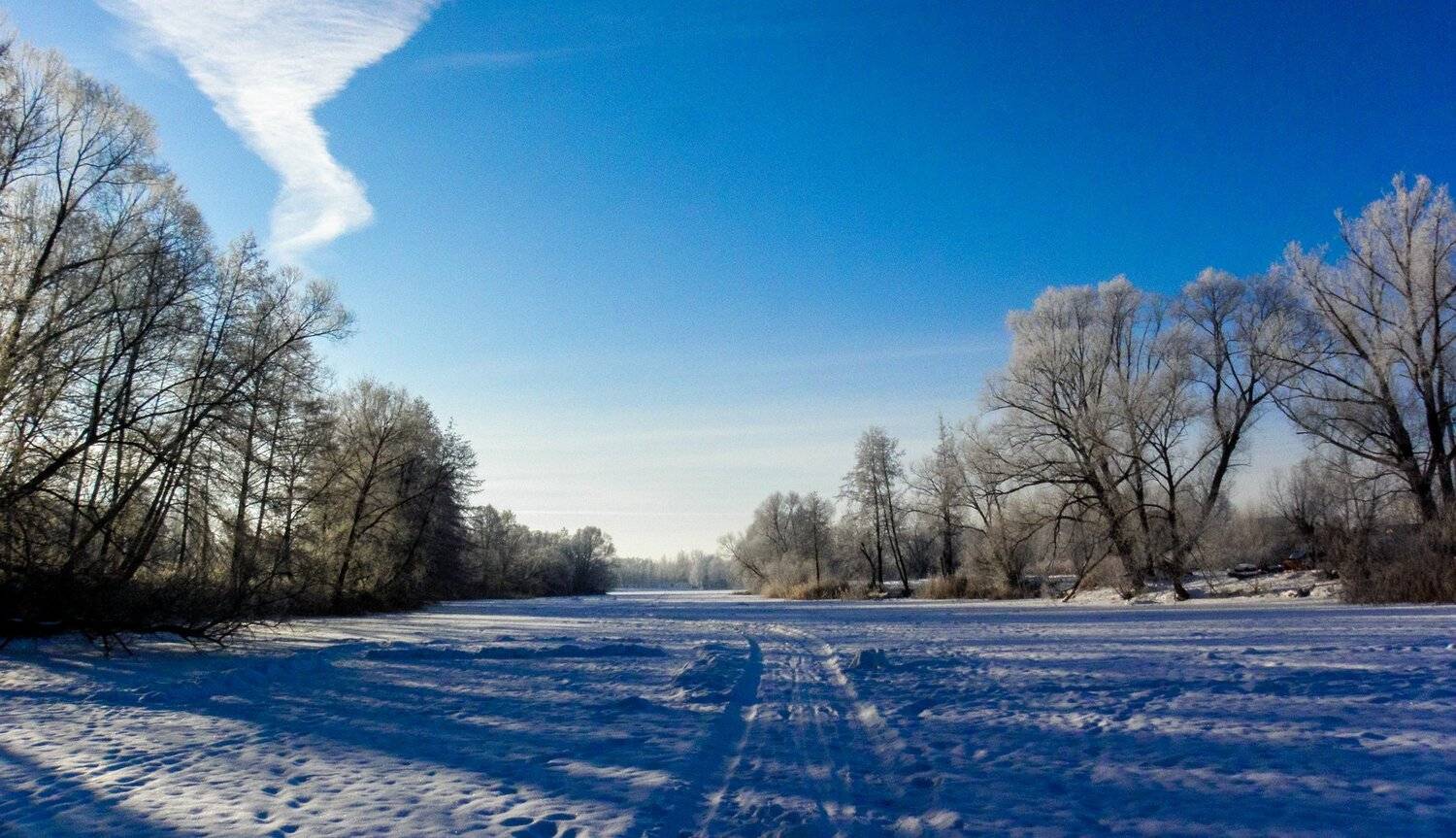 лес, зима, иней, мороз, ольха, река, усмань, Руслан Востриков