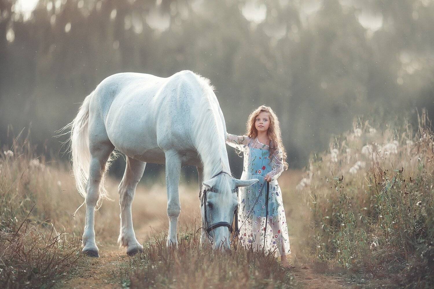 , Юлия Соболева