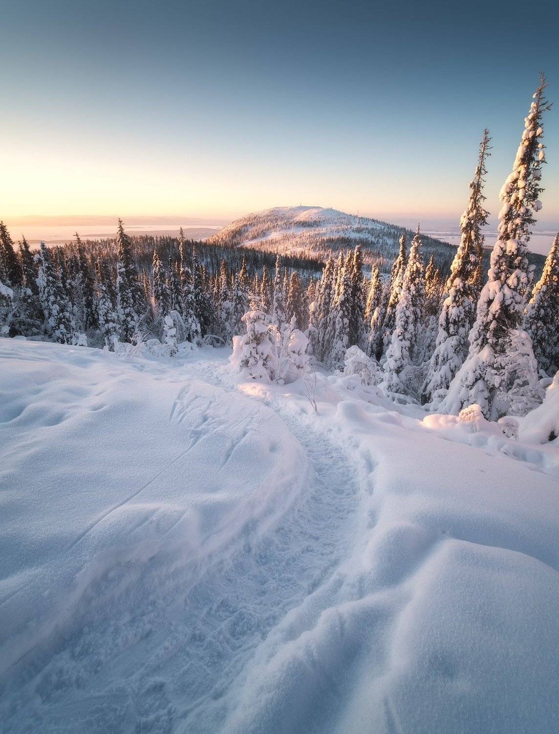 россия, кольский полуостров, мурманская область, кандалакша, природа, пейзаж, зима, горы, сопка, снег, рассвет, лесотундра, белое море, заполярье, Оборотов Алексей