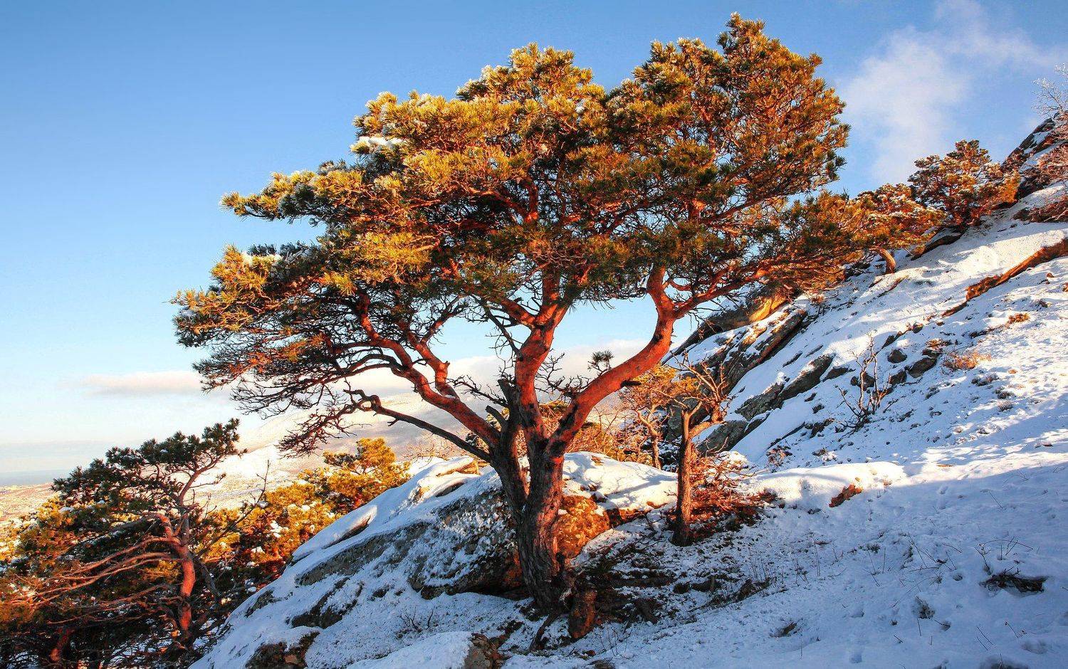 горы,зима,просторы,дагестан, Marat Magov