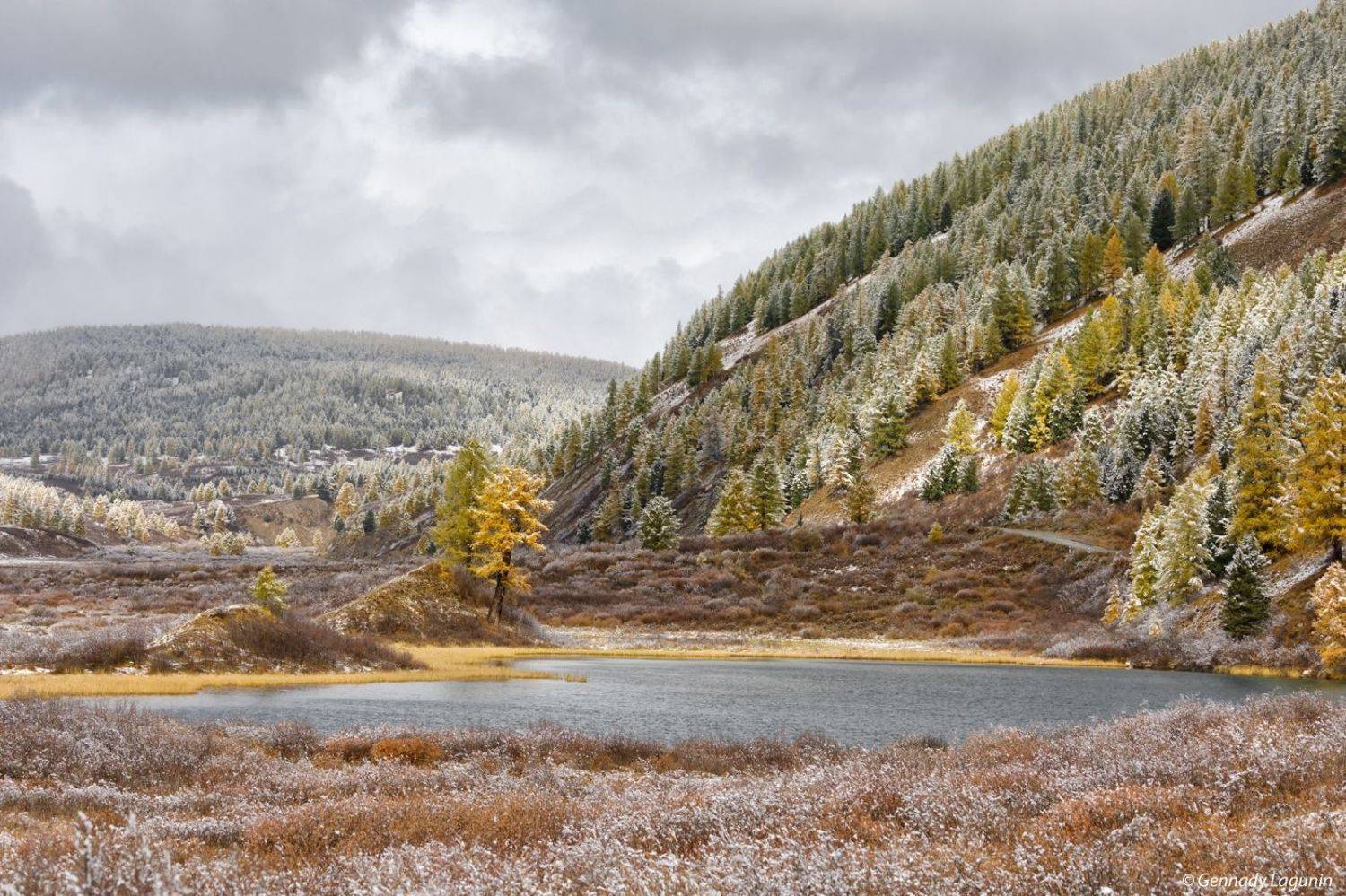 алтай, altai, осень, autumn, озеро, lake, Геннадий Лагунин