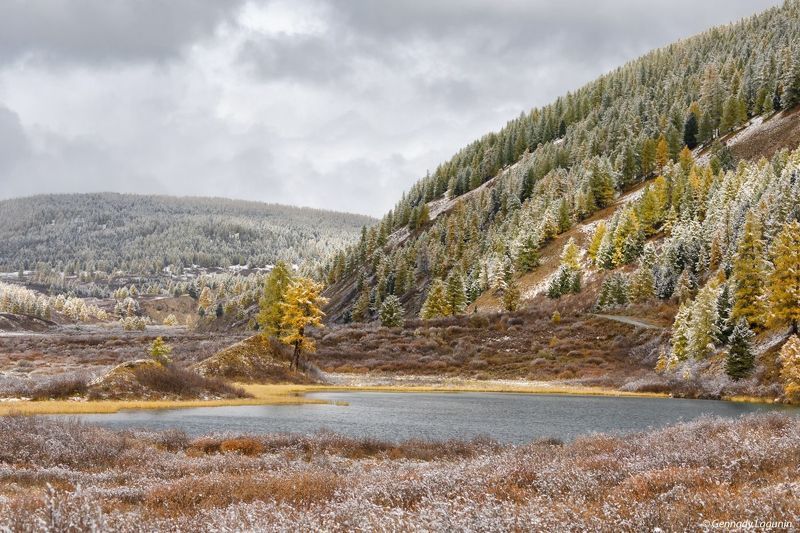 алтай, altai, осень, autumn, озеро, lake Первый снег фото превью