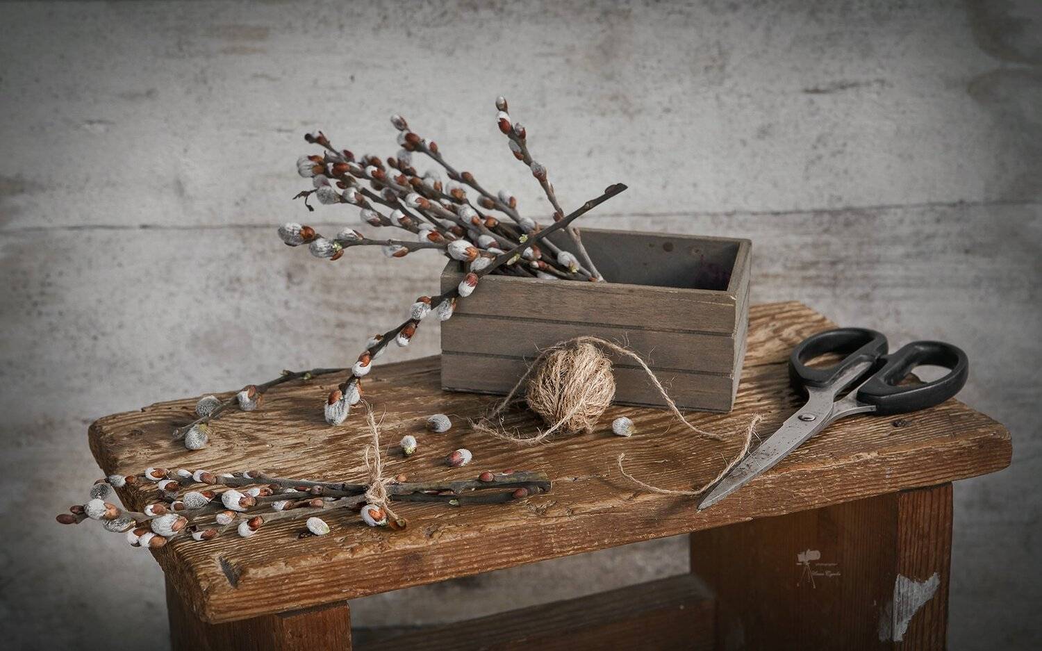 , Инна Сухова