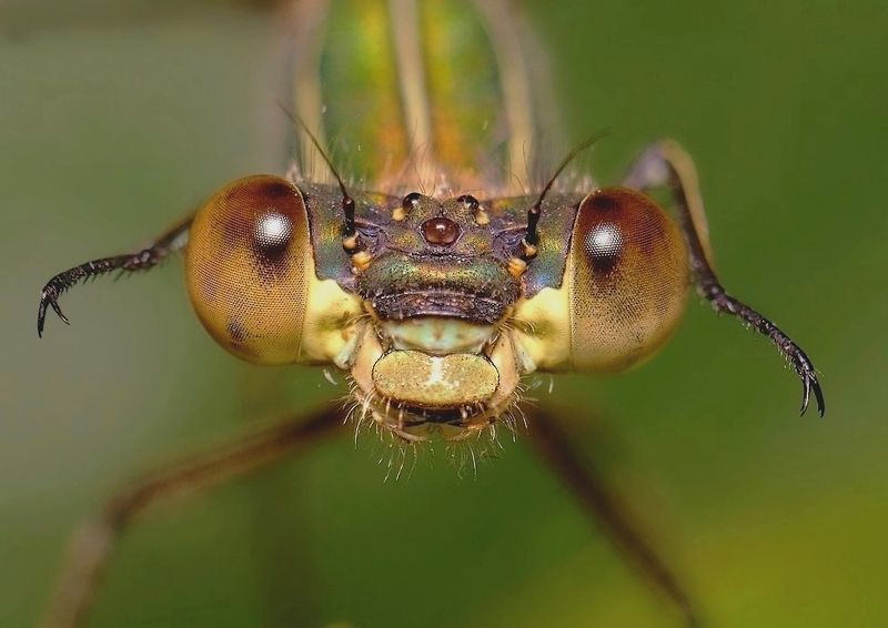 Я позволил сфотографировать ? фото превью