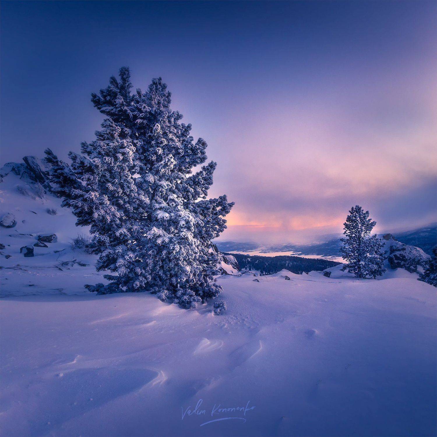 , Вадим Кононенко