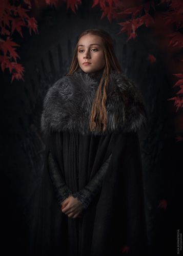 Из рода Старков