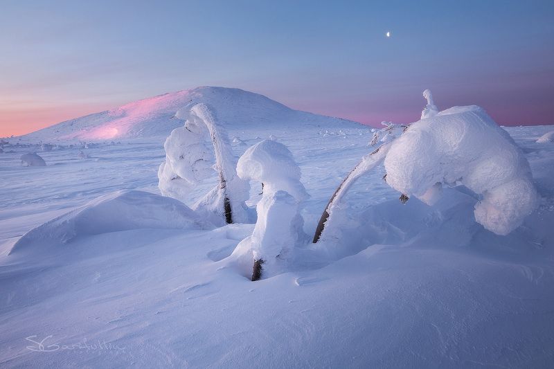 ГУХ, Урал, Северный Урал, зимний пейзаж, Главный уральский хребет Цветы зимы фото превью