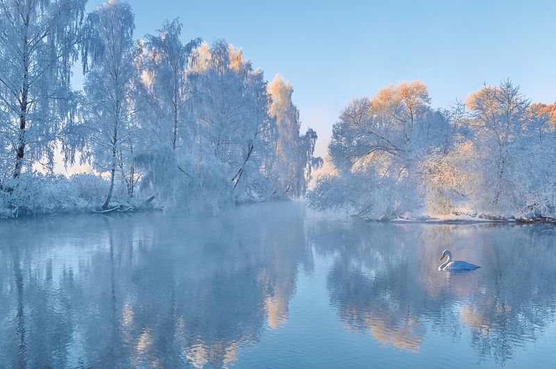 утро, мороз, природа, зима Морозным утром фото превью