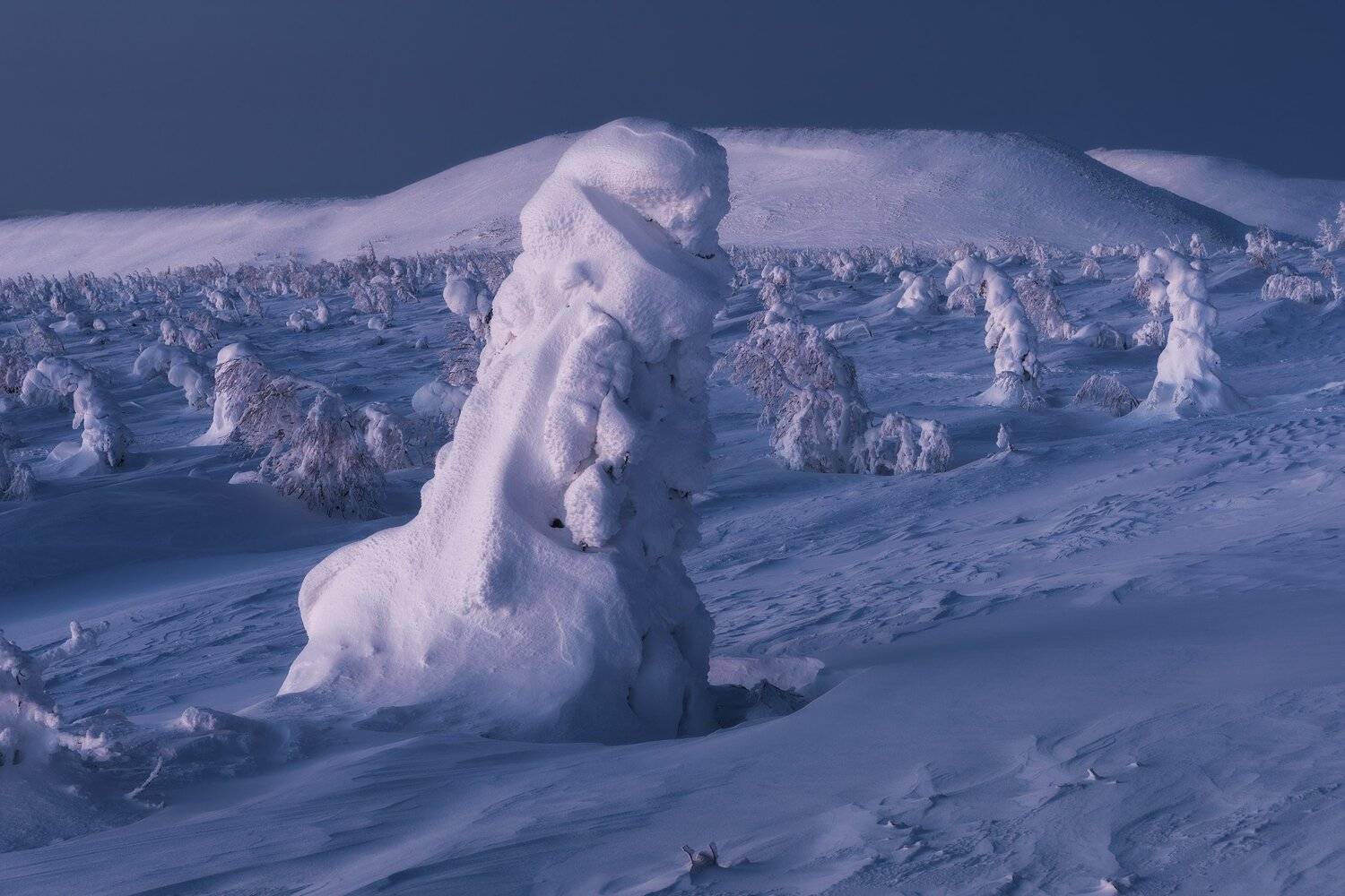 , Михаил Туркеев