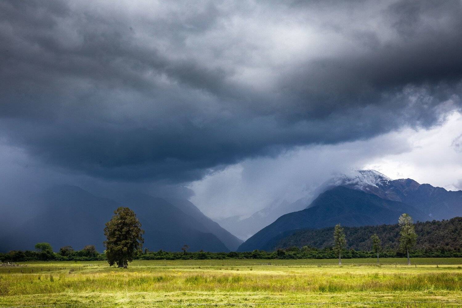, Александр Лозицкий
