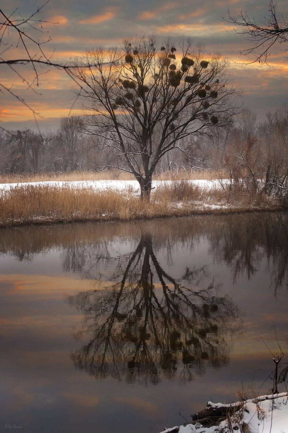 зима, февраль, берег, река,лес, Roma  Chitinskiy