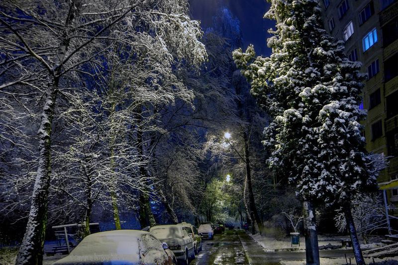 беларусь, город, минск, вечер, фотосфера-минск ...Иней в городе!!! фото превью