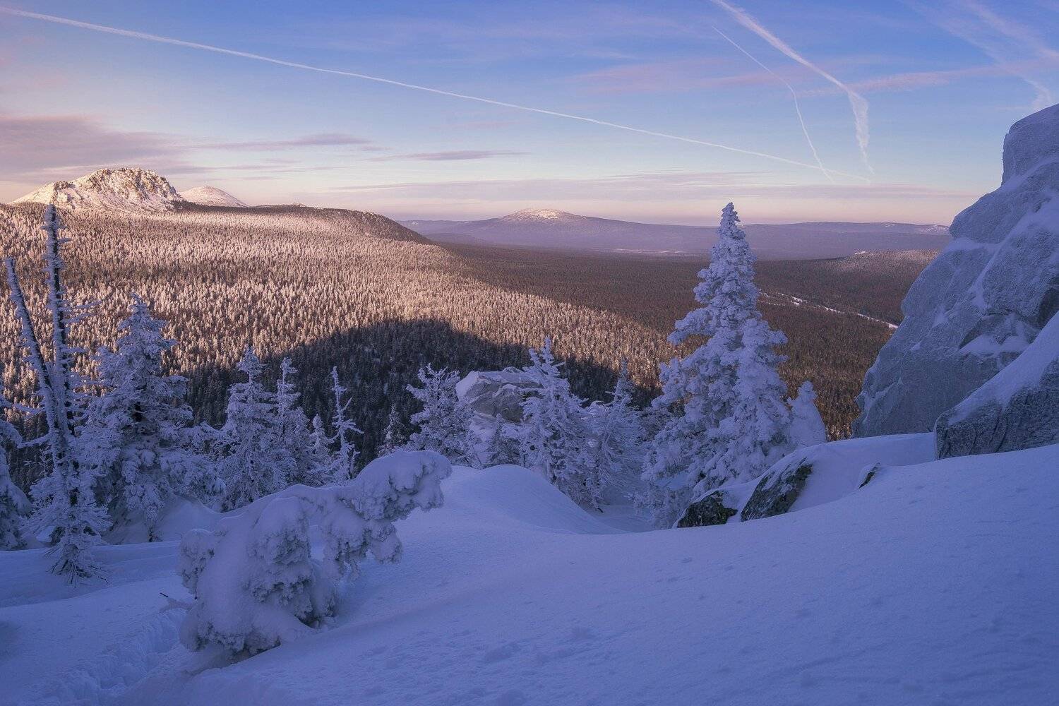 , Андрей Шарапов