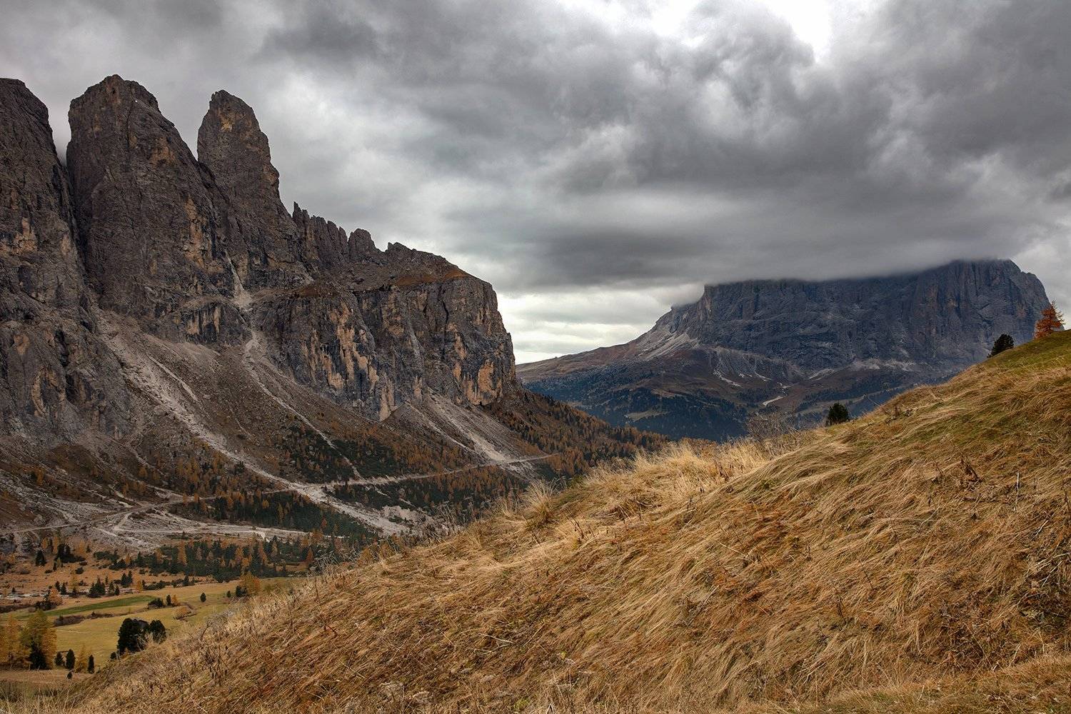 , Игорь Дубровский