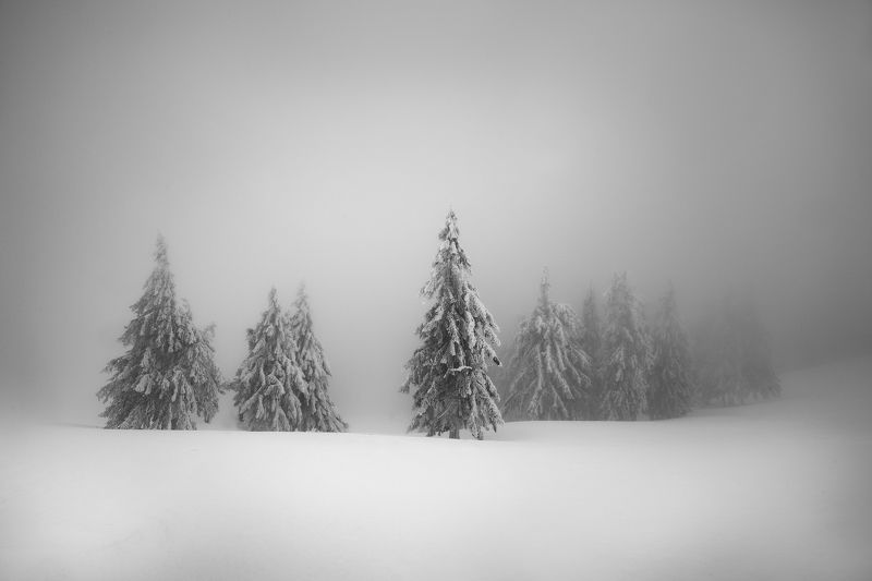Disappear