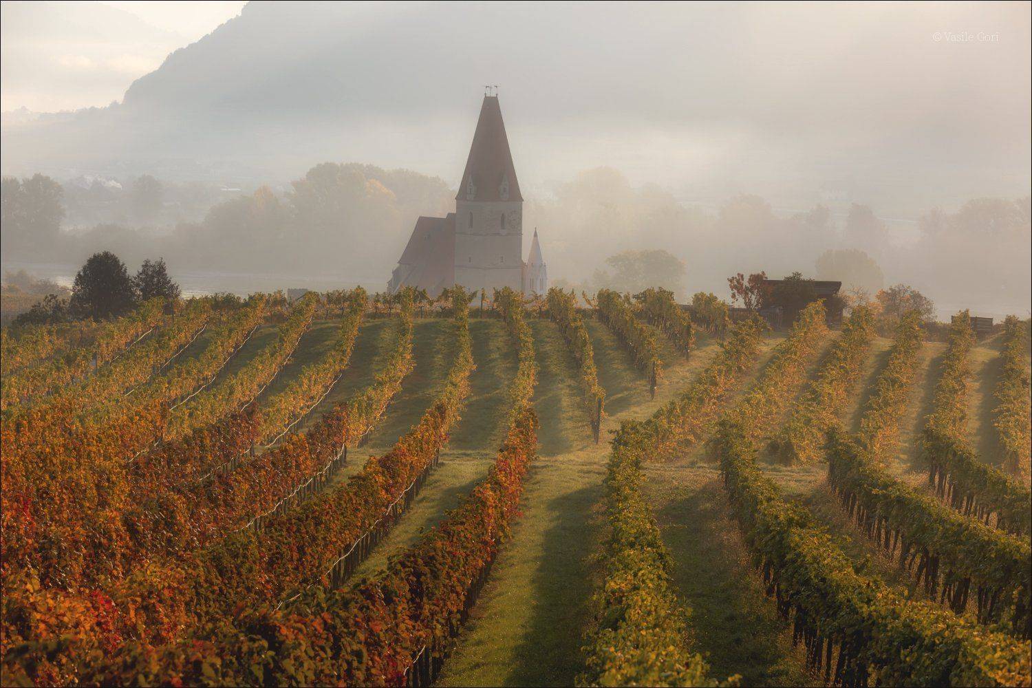 австрия,wei&szlig;enkirchen,осень,белая церковь,wachau,&ouml;sterreich,виноградники., Василий Гори