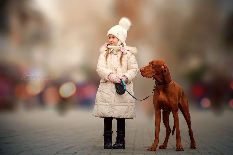 собака, анималистика, зима,   портрет, венгерская выжла, ребенок, парк Друзья фото превью