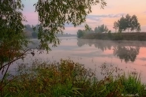 На утренней зорьке.