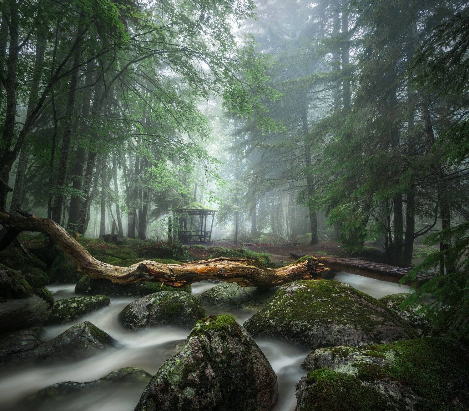 landscape, nature, scenery, forest, wood, autumn, mist, misty, fog, foggy, river, longexposure, mountain, rocks, vitosha, bulgaria, туман, лес, oсень, Александър Александров