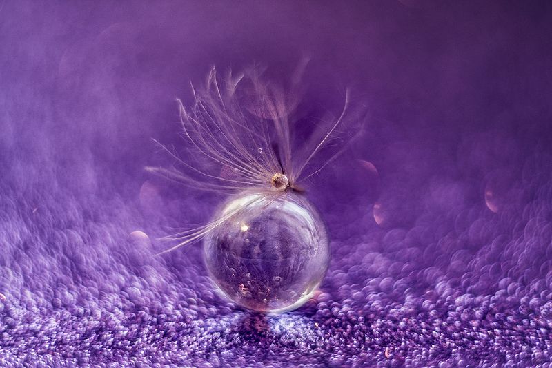 макро, макрофотография, макросъёмка, капли, цвета, боке фиолетовый сон фото превью