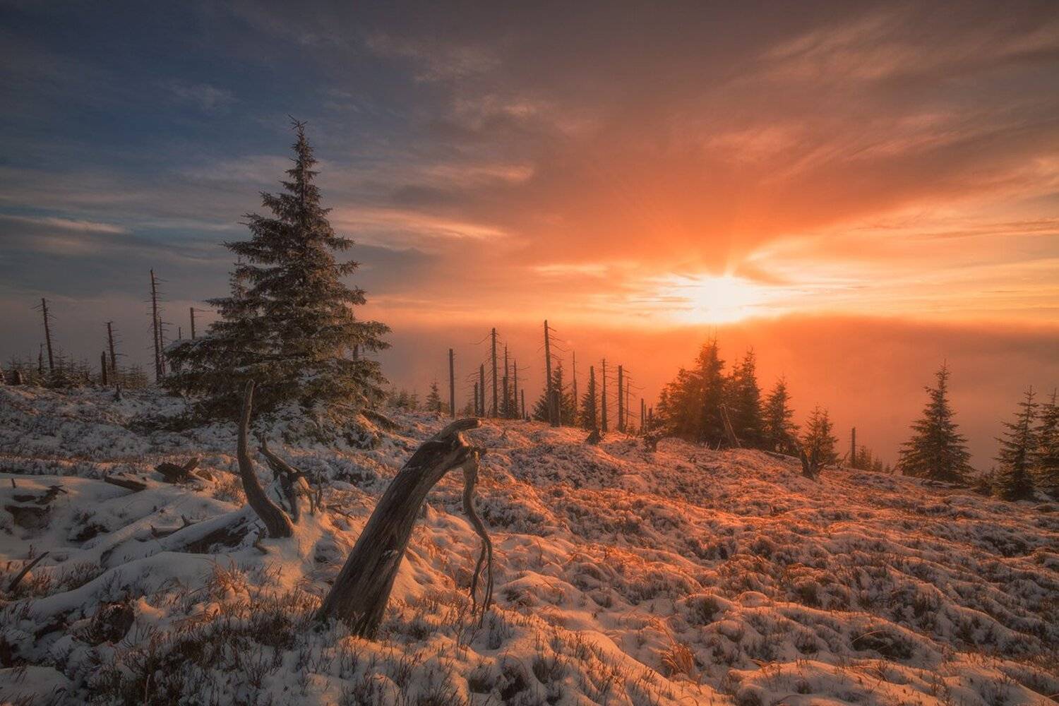landscape,canon,sunrise,winter, Iza i Darek Mitręga