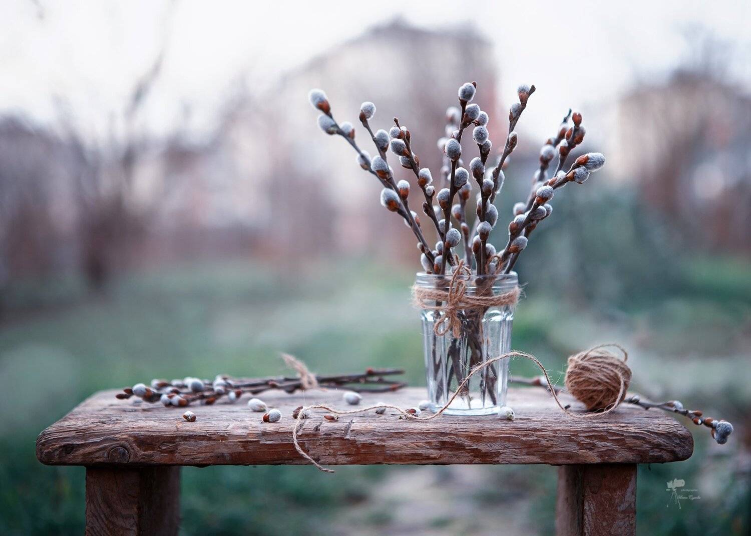 , Инна Сухова