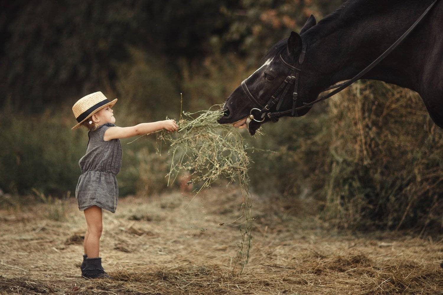 , Балагута Евгения
