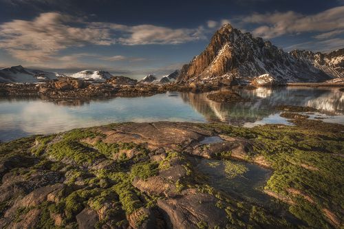 Lofoten morning