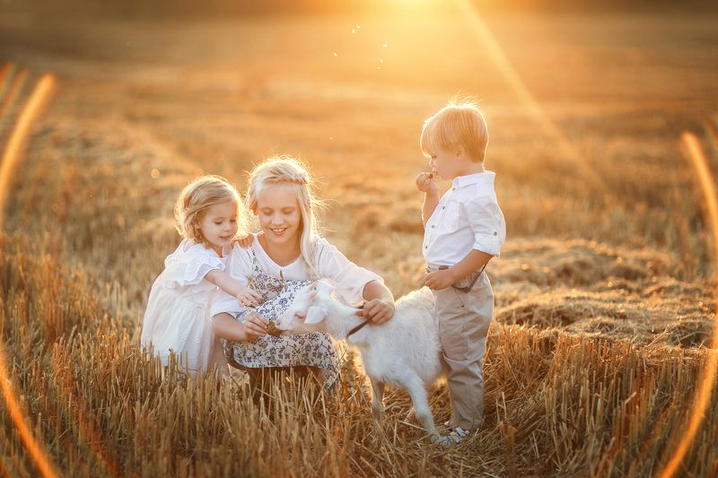 В поле фото превью