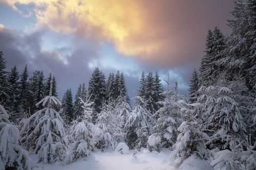 Просвет в зимннем небе