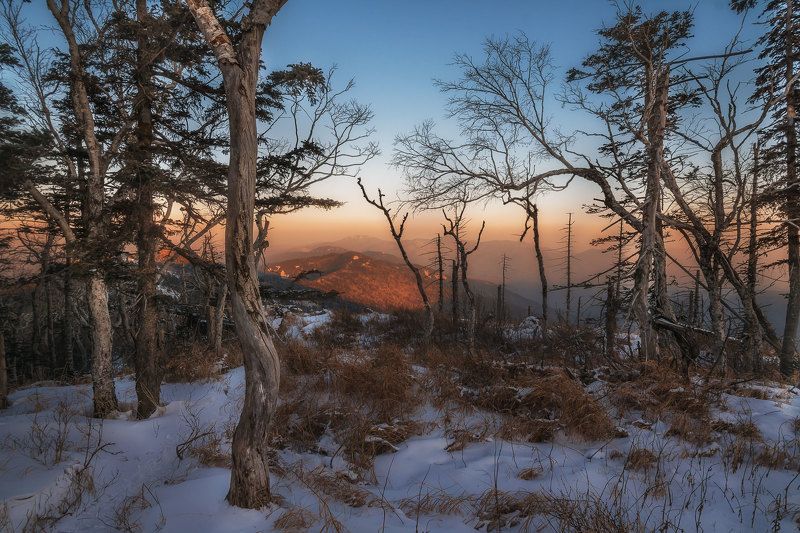 Стражи фото превью